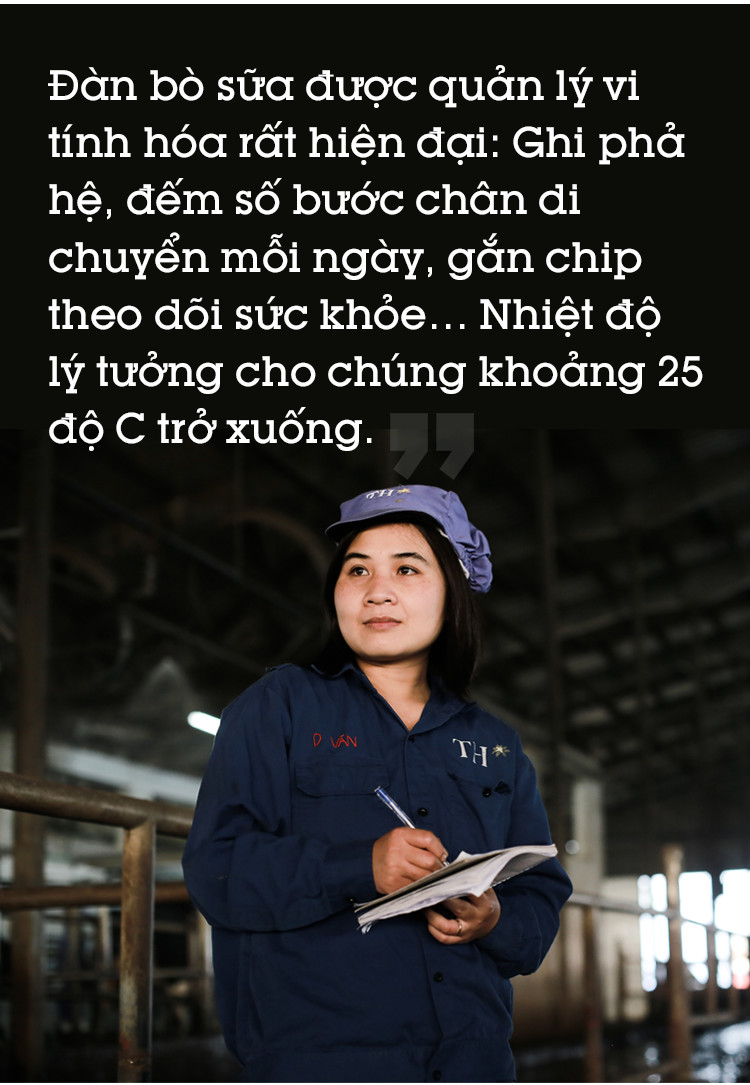 Ghé thăm trang trại nghỉ dưỡng 5 sao cho bò sữa organic của Việt Nam - Ảnh 10.