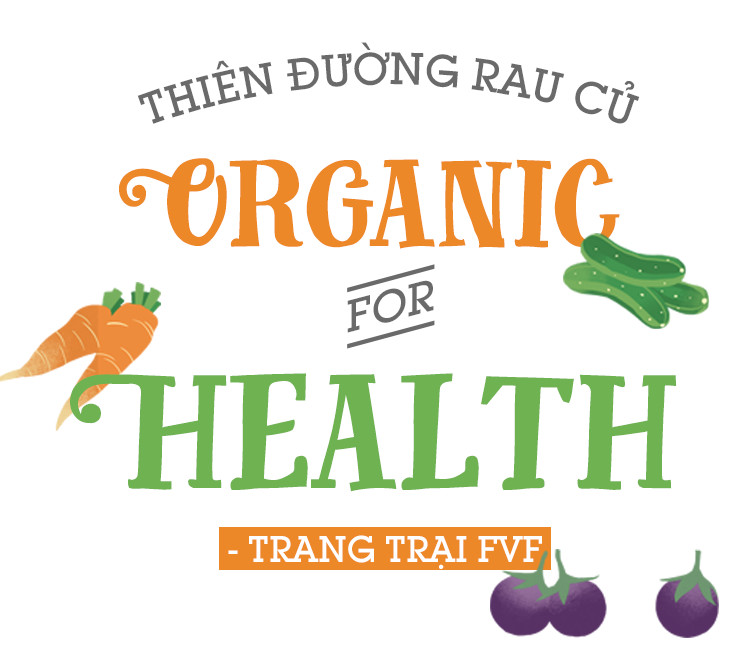 Ghé thăm trang trại nghỉ dưỡng 5 sao cho bò sữa organic của Việt Nam - Ảnh 12.