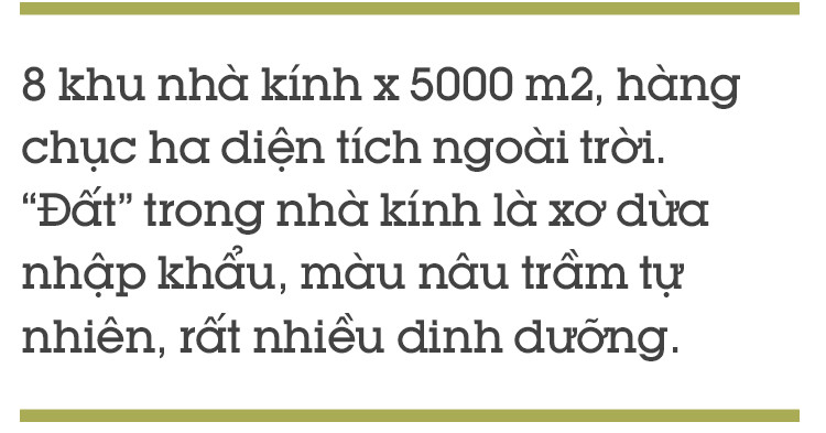 Ghé thăm trang trại nghỉ dưỡng 5 sao cho bò sữa organic của Việt Nam - Ảnh 14.