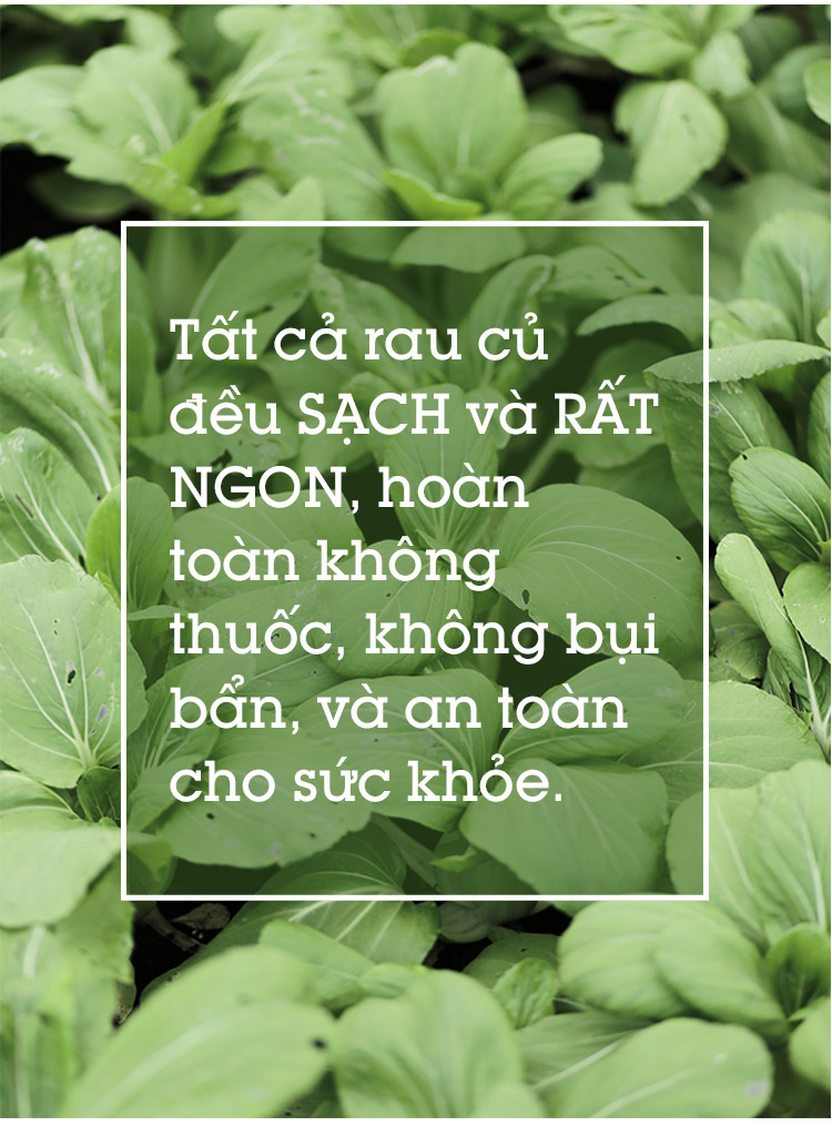 Ghé thăm trang trại nghỉ dưỡng 5 sao cho bò sữa organic của Việt Nam - Ảnh 15.