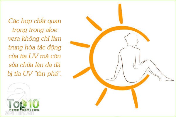 Đây là 7 công dụng của lô hội được các nhà nghiên cứu thừa nhận, từ bảo vệ da, tóc đến ngừa bệnh tiểu đường - Ảnh 7.