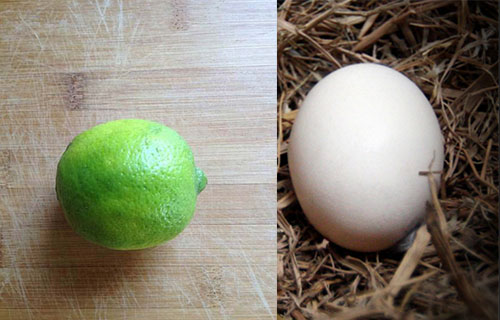 Dùng 1 quả trứng để biến da căng như “trứng gà bóc” - chuyện thật như đùa - Ảnh 1.