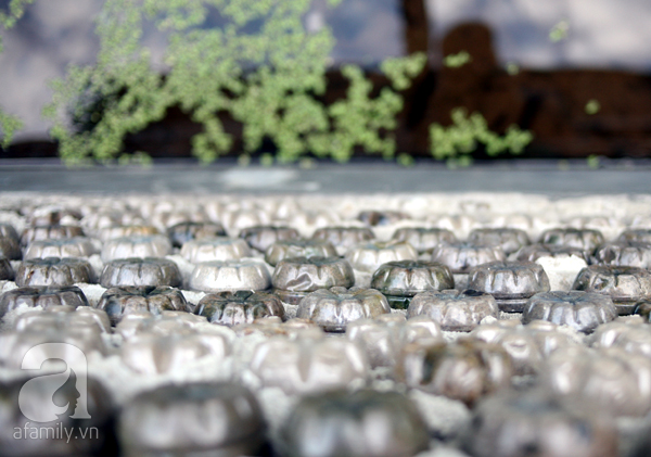 Hà Nội: Đột nhập ngôi nhà xanh làm từ 8.800 vỏ chai nhựa - Ảnh 12.