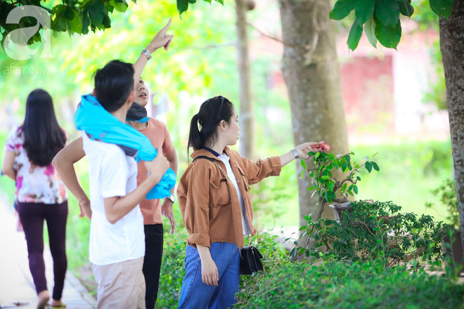 Ghé Huế, vào chùa Thiên Mụ 400 năm tuổi ngắm những đóa sala - hoa của sự yên lành - Ảnh 15.