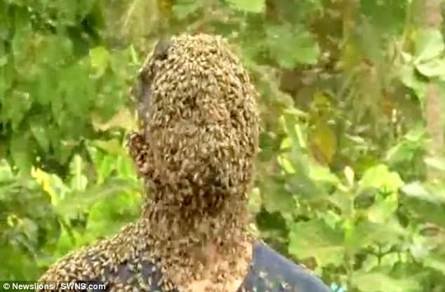 Kinh dị người đàn ông để 60.000 con ong bu kín mặt vẫn bình thản đọc sách - Ảnh 4.