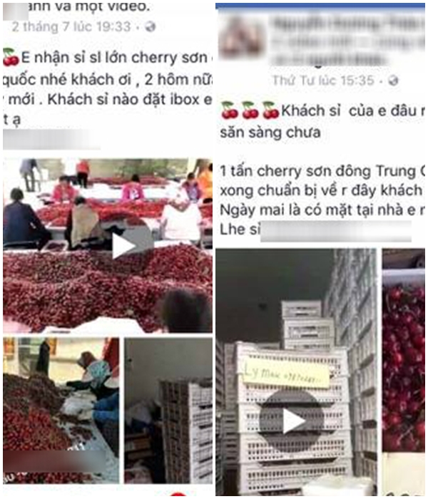 Chị em đổ xô mua cherry Trung Quốc giá chỉ 120.000 đồng/kg trên chợ online - Ảnh 1.