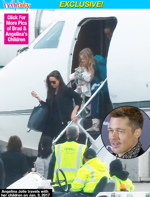 Brad Pitt phát điên khi Angelina Jolie liên tục di chuyển chỗ ở của các con - Ảnh 2.