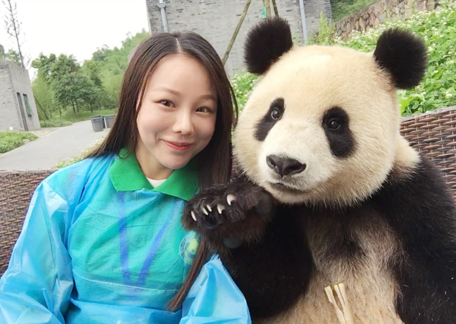 Chú gấu trúc thích chụp selfie nhất thế giới sẽ khiến bạn yêu ngay từ cái nhìn đầu tiên - Ảnh 1.