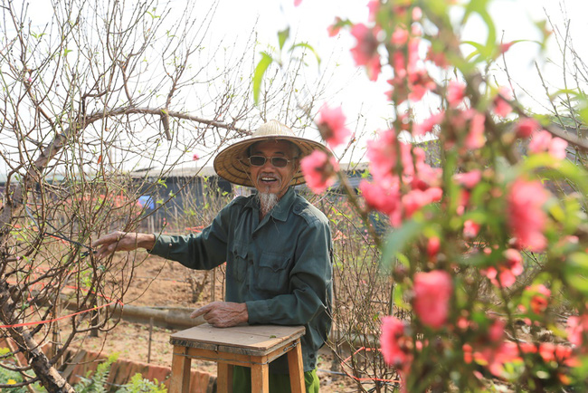 4 làng hoa đẹp long lanh ngay ven Hà Nội nên ghé đến để cảm nhận rõ vị Xuân - Ảnh 8.