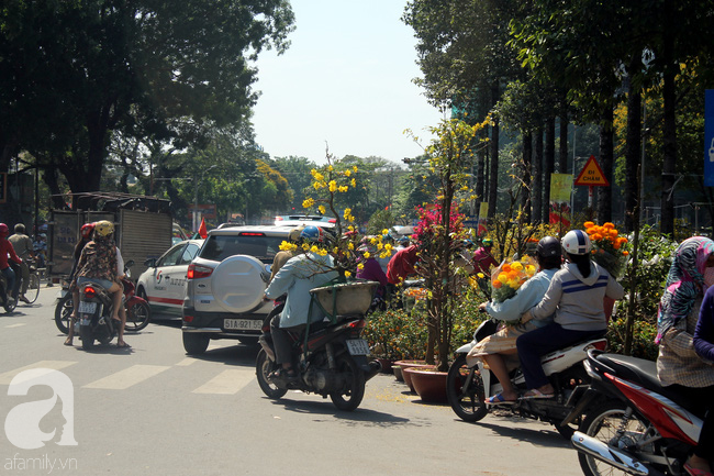 Chợ hoa Sài Gòn ngày 30 Tết: Người “bán tháo bán chạy”, kẻ cay đắng đập chậu - Ảnh 3.