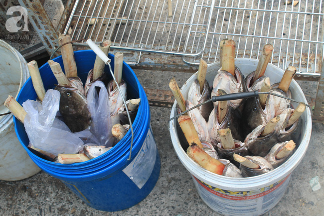 Ngày vía Thần tài, phố cá lóc nướng ở Sài Gòn bán hàng ngàn con chỉ trong buổi sáng - Ảnh 6.