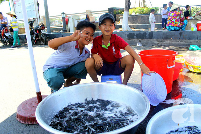 Kiếm bạc triệu tiền bán cá phóng sinh ngày Rằm tháng Giêng - Ảnh 8.