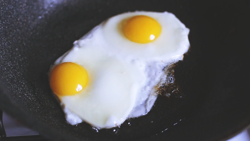 10 bức ảnh động chứng minh cho bạn thấy trứng là món ăn hấp dẫn nhất hệ mặt trời - Ảnh 10.