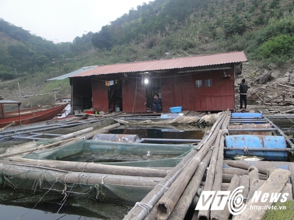 Chị Dậu ở hồ Thủy điện Hòa Bình: Bán đàn chó không đủ tiền chữa bệnh - Ảnh 1.