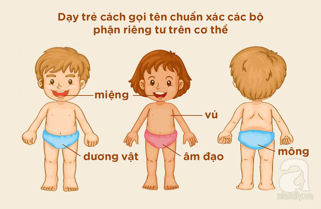 Nhấn vào ảnh để phóng to 4 bộ phận trên cơ thể bố mẹ cần dạy con gọi tên một cách chính xác ...