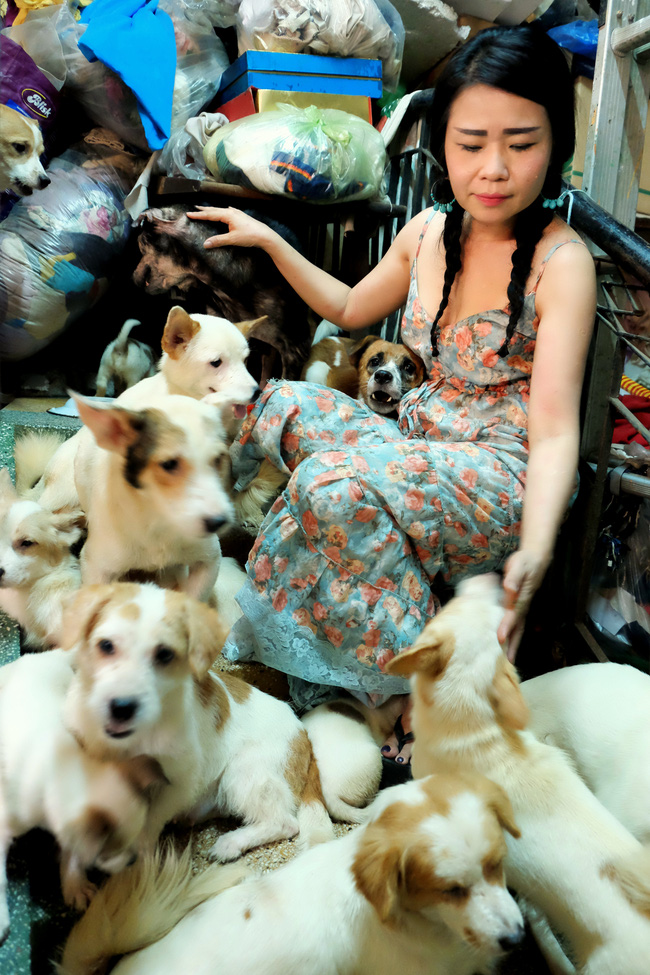 Cô nàng độc thân nuôi 91 con chó ở Sài Gòn: Chồng có thể không có, nhưng chó phải có... một đàn - Ảnh 9.