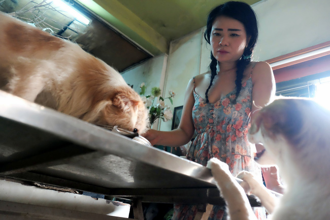 Cô nàng độc thân nuôi 91 con chó ở Sài Gòn: Chồng có thể không có, nhưng chó phải có... một đàn - Ảnh 15.