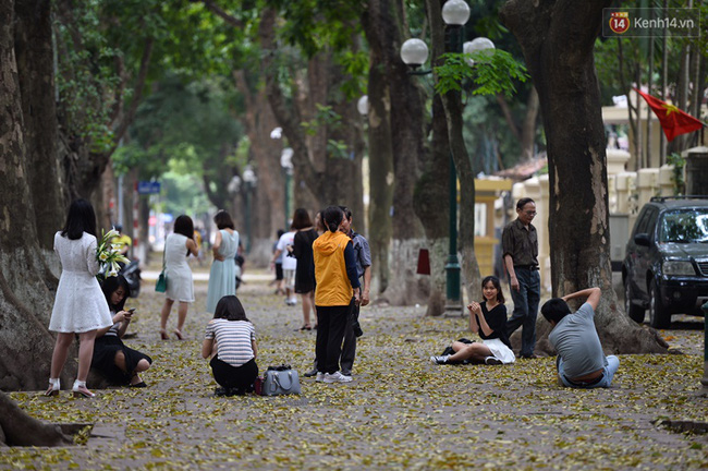 Cuối tuần, chị em áo dài váy hoa kéo nhau đi pose ảnh ở con đường lá vàng Phan Đình Phùng - Ảnh 1. Cuối tuần, chị em áo dài váy hoa kéo nhau đi pose ảnh ở con đường lá vàng Phan Đình Phùng - Ảnh 1.