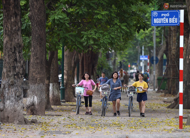 Cuối tuần, chị em áo dài váy hoa kéo nhau đi pose ảnh ở con đường lá vàng Phan Đình Phùng - Ảnh 2.