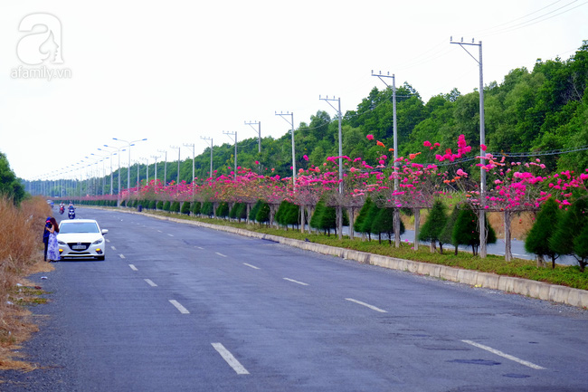 Ven Sài Gòn, có một con đường thơ mộng ngập tràn hoa giấy - Ảnh 1.
