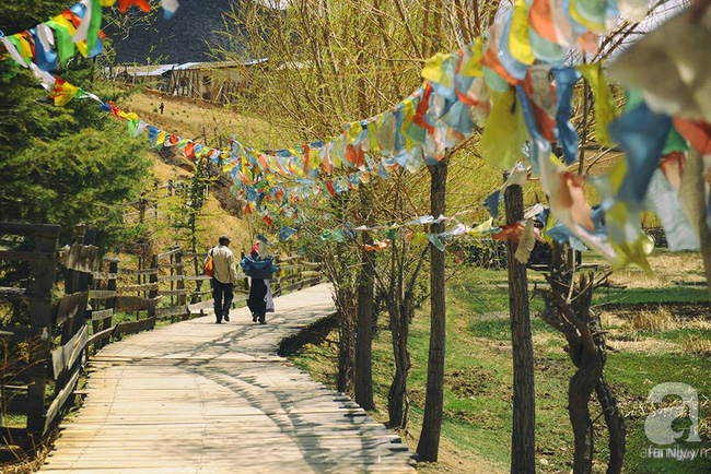 Nữ nhà báo chia sẻ hành trình khám phá Shangri-la, Lệ Giang, Đại Lý 9 ngày với 12 triệu đồng - Ảnh 7.