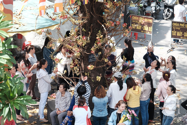 Nắng gay gắt, nhiều bà mẹ Sài Gòn vẫn dẫn con đi chùa cầu an ngày Phật Đản - Ảnh 2.
