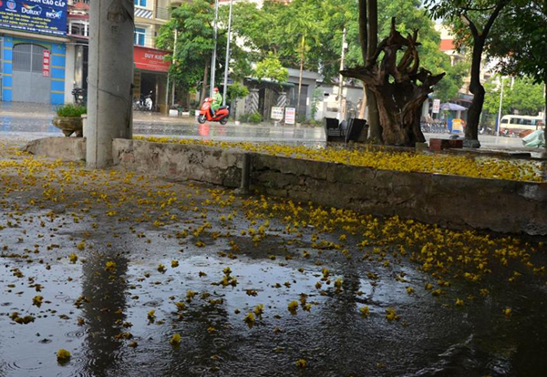 Hà Nội: Một số nơi đã xảy ra mưa rào, chính thức chấm dứt đợt nắng nóng kỷ lục - Ảnh 5.