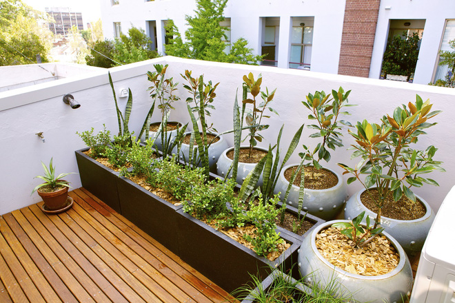 9 thiết kế vườn trên sân thượng phù hợp với nhà nhỏ