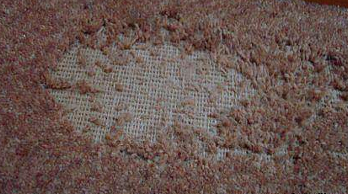 Nhìn sơ tưởng là bụi bẩn “mọc” đầy nhà, ít ai ngờ thứ bên trong “cái túi” này còn tai hại hơn - Ảnh 3. Nhìn sơ tưởng là bụi bẩn “mọc” đầy nhà, ít ai ngờ thứ bên trong “cái túi” này còn tai hại hơn - Ảnh 3.