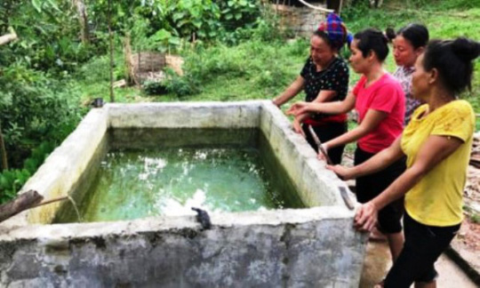 Chết lặng thấy 2 con nhỏ chết đuối trong bể nước gia đình - Ảnh 1. Chết lặng thấy 2 con nhỏ chết đuối trong bể nước gia đình - Ảnh 1.