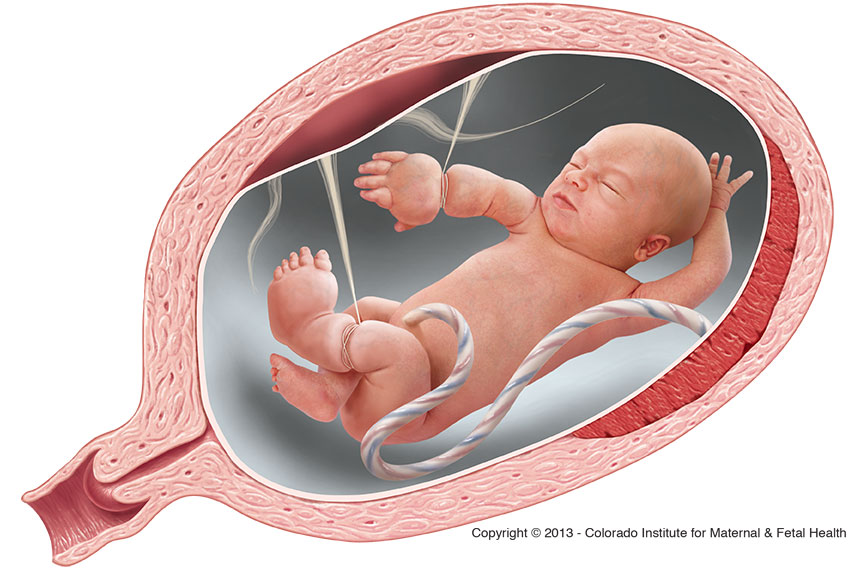 Dải sợi ối: Muốn tìm hiểu về những sáng tạo mới trong thiết kế nội thất? Hãy xem qua các mẫu dải sợi ối đầy ấn tượng trên thị trường năm