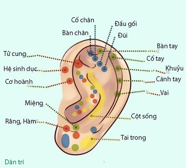 Căn bệnh trăm nghìn người chết mỗi năm ở VN: Không phải ung thư, Trung Quốc đang cảnh báo - Ảnh 3.