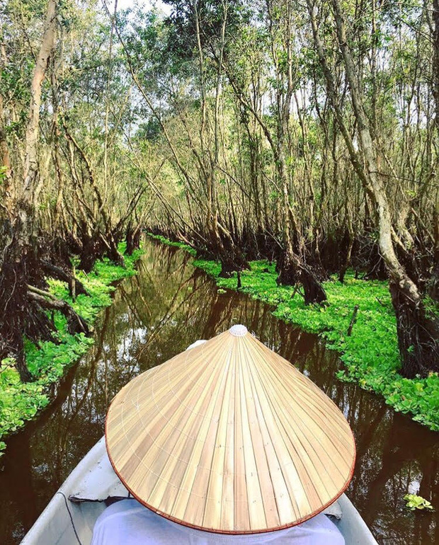 Thu sang, hãy thử quên lá vàng miền Bắc để về với miền Tây đón mùa nước nổi - Ảnh 1.