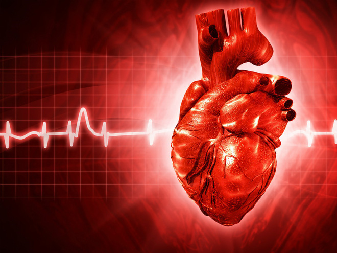 Giáo sư tim mạch nổi tiếng: Khi có dấu hiệu này, hãy coi chừng bạn đã mắc bệnh mỡ máu cao! - Ảnh 3.