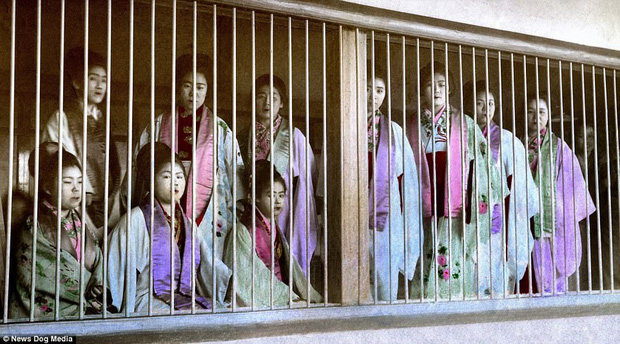 Cuộc sống của các cô gái bán hoa Nhật Bản thời xưa, phải giam mình trong lồng gỗ ở khu nhà thổ rộng 81.000m2 - Ảnh 1.
