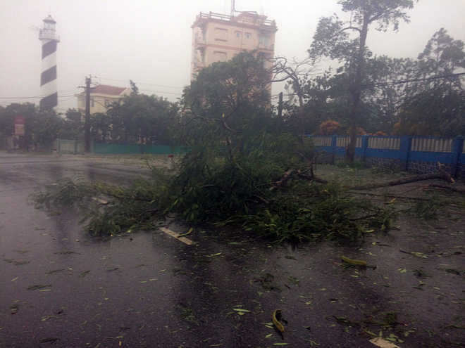 7 người thương vong ở Quảng Bình, 2 tàu chìm ở Quảng Ninh, Nghệ An - Hà Tĩnh tan hoang sau bão - Ảnh 39.