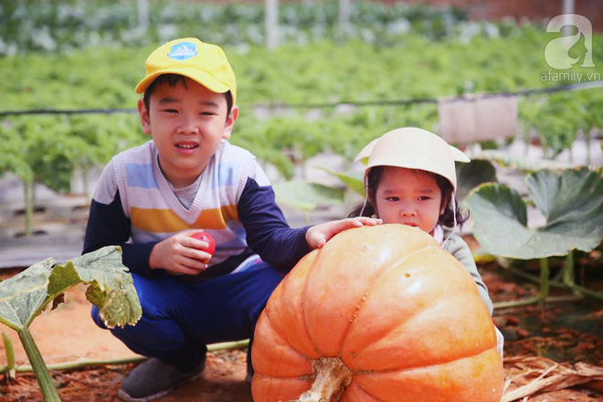 Có một Đà Lạt quen mà lạ, lại rất an yên ở làng nông nghiệp Hồ Xuân Hương - Ảnh 7.