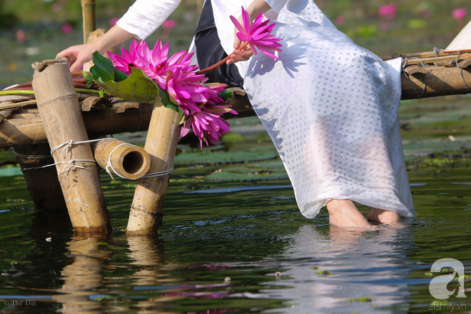 Đâu chỉ có lá vàng, thu Hà Nội còn là mùa nước nở hoa tím, đẹp lịm tim thế này - Ảnh 8. Đâu chỉ có lá vàng, thu Hà Nội còn là mùa nước nở hoa tím, đẹp lịm tim thế này - Ảnh 8.