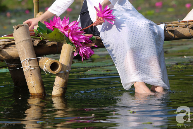 Đâu chỉ có lá vàng, thu Hà Nội còn là mùa nước nở hoa tím, đẹp lịm tim thế này - Ảnh 8.