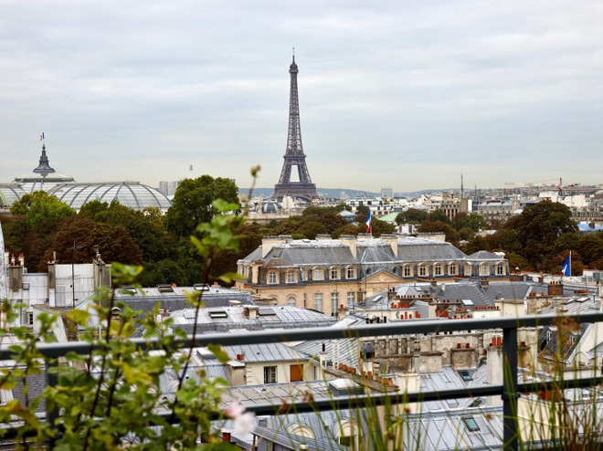 Khu vườn trên mái nhà ngập tràn cây trái với hướng nhìn thẳng ra tháp Eiffel - Ảnh 1.
