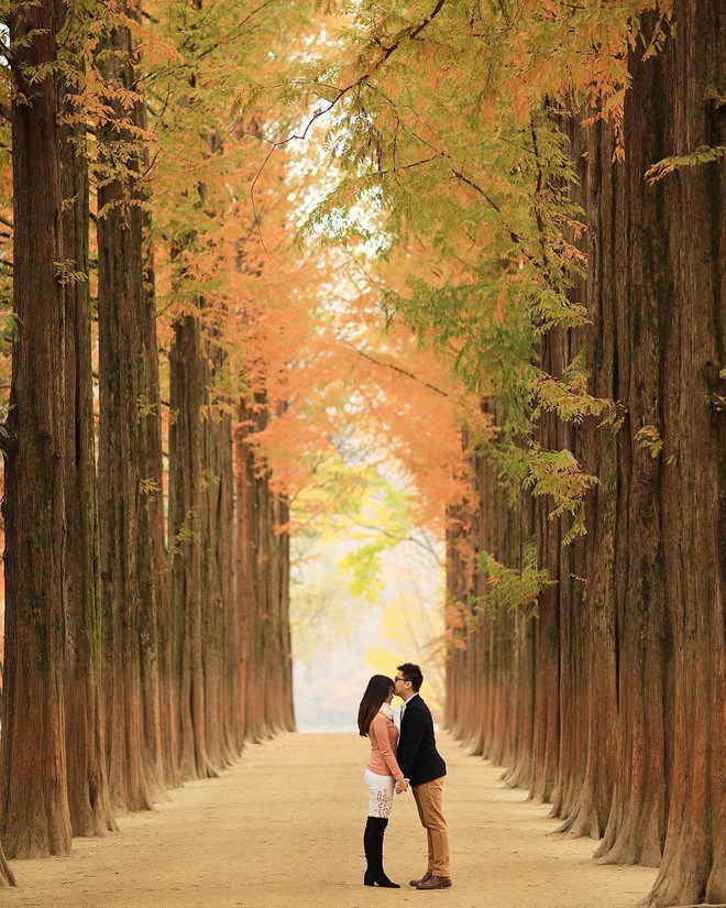Mùa cưới đến rồi, bỏ túi ngay những địa chỉ chụp ảnh đẹp mê ly với lá vàng, lá đỏ này thôi - Ảnh 10.
