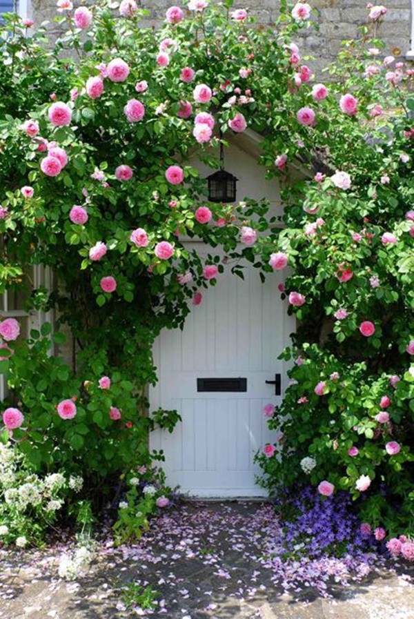 Chiêm ngưỡng vẻ đẹp lộng lẫy của những chiếc cổng nhà tràn ngập hoa