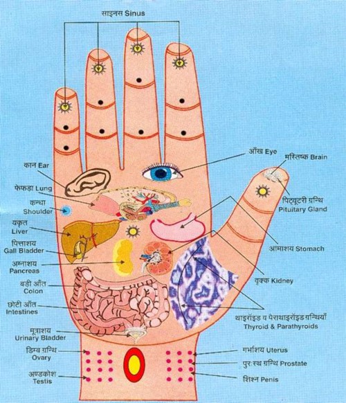 Một điểm trên bàn tay bị đỏ: Dấu hiệu cảnh báo bệnh gan không thể xem nhẹ - Ảnh 1.