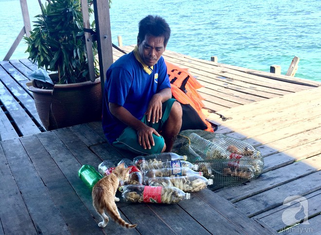 Cô gái Việt đến đảo thiên đường Sipadan bơi cùng cá mập, ở resort hạng sang, ăn buffet xả láng cả tuần với 12 triệu - Ảnh 17.