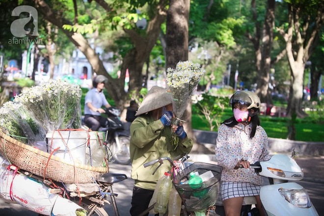 Mùa đông đến Hà Nội rồi, cứ nhìn những bông cúc họa mi tinh khôi xuống phố thì rõ - Ảnh 6.