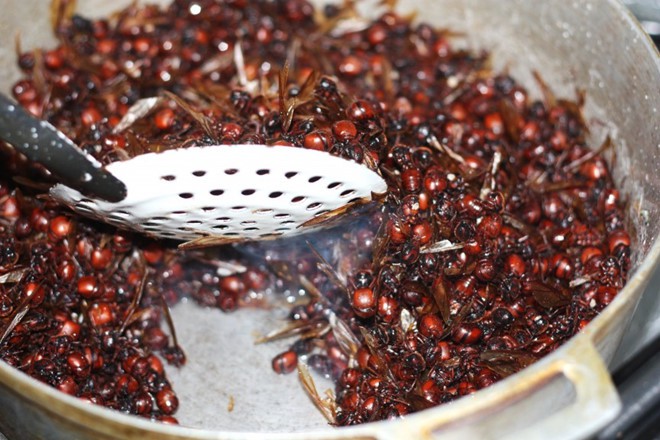 5 món ăn quen thuộc bỗng trở thành kinh dị khi làm từ côn trùng - Ảnh 4.