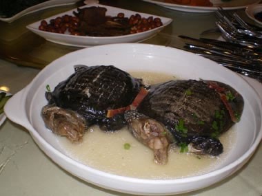 Rùng mình với súp rùa sống - món ăn kinh dị và tàn nhẫn nức tiếng Trung Quốc - Ảnh 2.