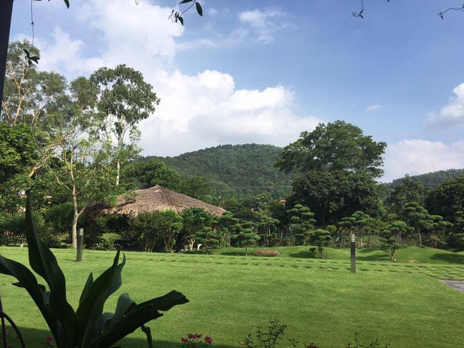 4 ngôi nhà vườn của nghệ sỹ Việt được yêu thích nhất năm 2017 - Ảnh 19.