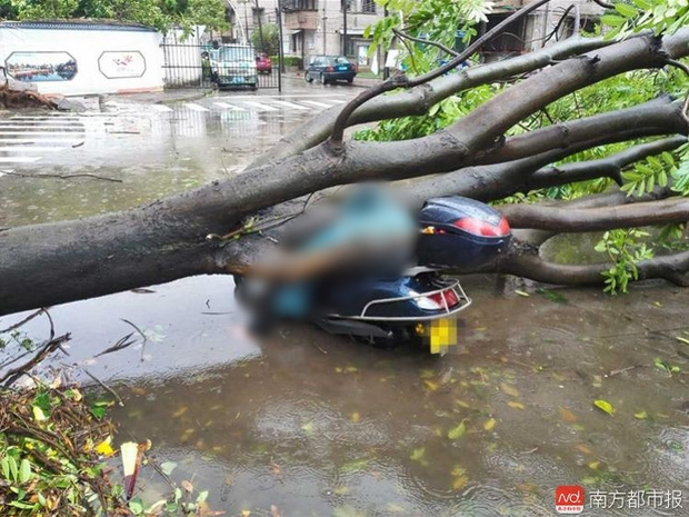 Chùm ảnh: Người dân Trung Quốc hoảng loạn chống chọi với siêu bão mạnh nhất trong năm - Ảnh 11.