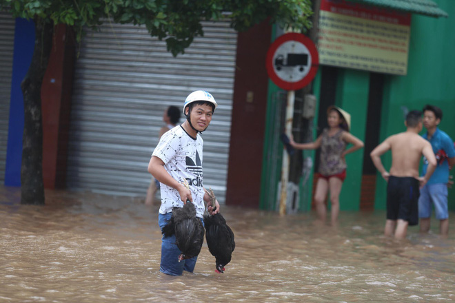 7 người thương vong ở Quảng Bình, 2 tàu chìm ở Quảng Ninh, Nghệ An - Hà Tĩnh tan hoang sau bão - Ảnh 32.